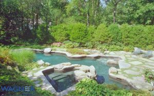 Natural Pools #009 by Wagner Pools